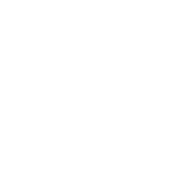 ʦ