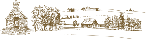 ¶ѧУ-ѧУ